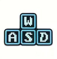 WASD Lapel Pin